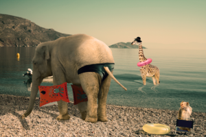 Photoshop Design by Markos