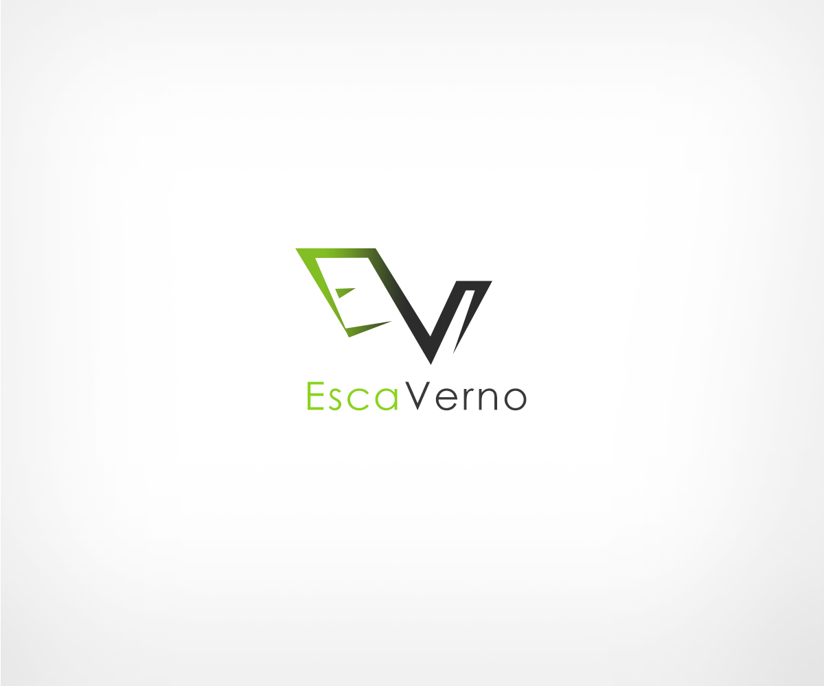 Logo Design by Osama Bin Ishrat for this project | Design #2804046