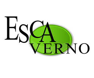 Logo Design by AndPose