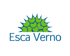 Logo Design by ADE