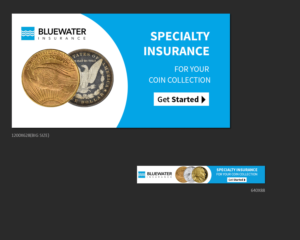 Banner Ad Design by ruchatm2617 for Bluewater Insruance | Design: #18342321