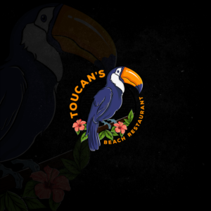 Toucans | Logo Design by Ankit Bhattarai
