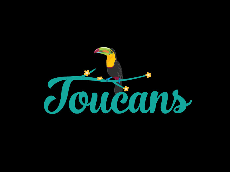 Logo-Design von paper art 2 für Toucans | Design #18320857