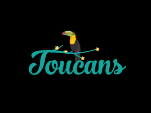 Logo-Design von paper art 2 für Toucans | Design: #18320857
