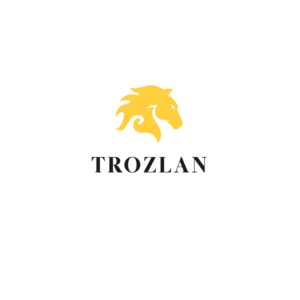 Logo Design by branditate