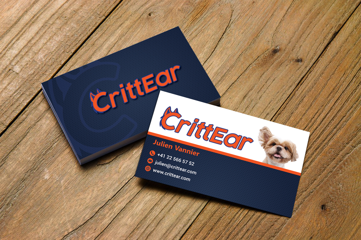 Business Card Design by Hardcore Design for Susan Hansen | Design #18327437