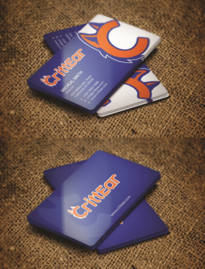 Business Card Design by Tripti Ranjan Gain for Susan Hansen | Design: #18322928