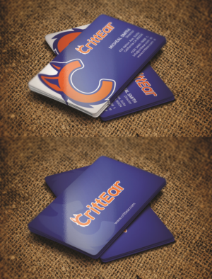 Business Card Design by Tripti Ranjan Gain for Susan Hansen | Design: #18323571