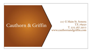 Business Card Design by Shikha for this project | Design #2806763