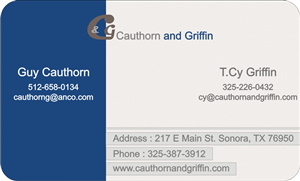 Business Card Design by mohitrao2013