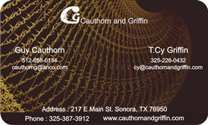 Business Card Design by mohitrao2013 for this project | Design: #2812665