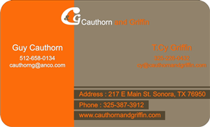 Business Card Design by mohitrao2013 for this project | Design: #2855241