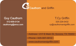 Business Card Design by mohitrao2013 for this project | Design: #2855244