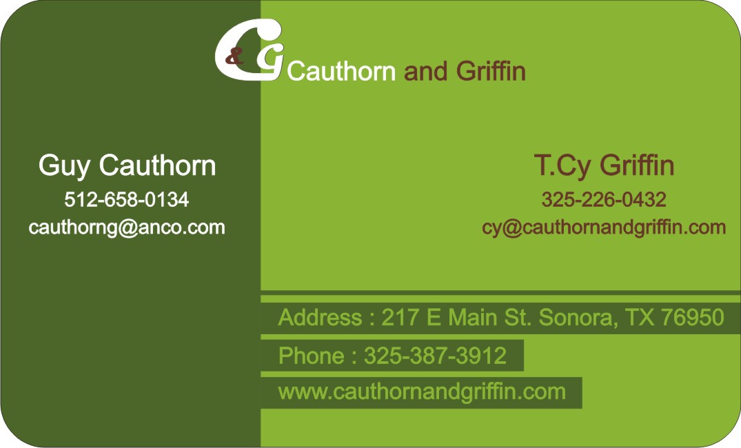 Business Card Design by mohitrao2013 for this project | Design #2855247