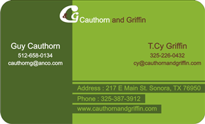 Business Card Design by mohitrao2013 for this project | Design: #2855247