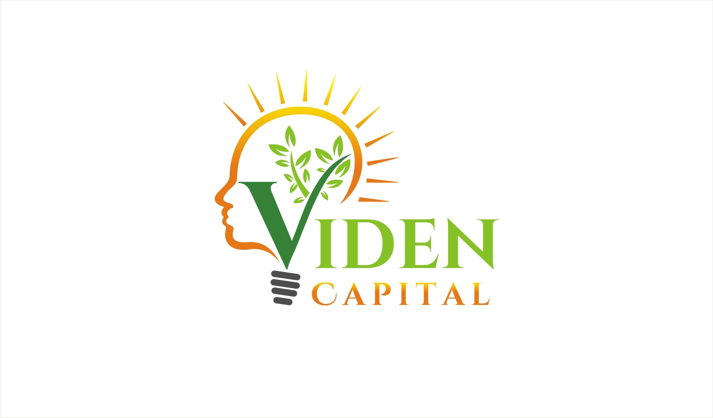 Logo Design by Soul Light for Viden Capital LLC | Design #18326702