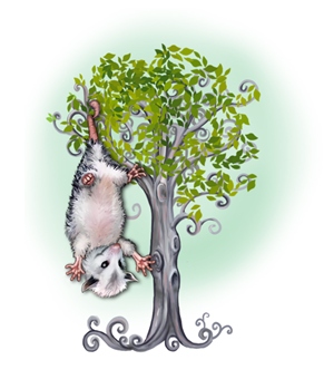 Illustration Design by Joanna M