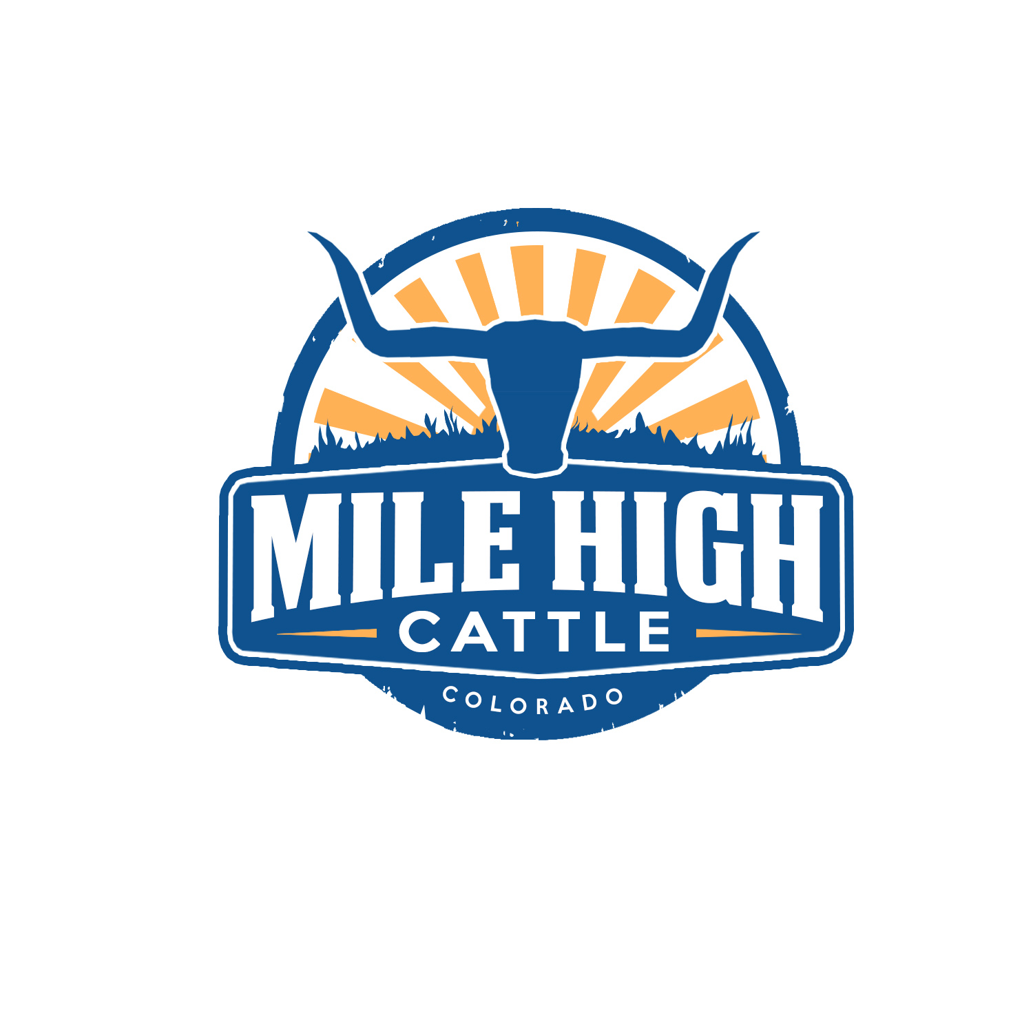 Logo Design by cvedesign for this project | Design #18345993