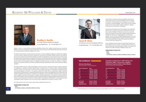 Litigation services brochure for KMD.law | Flyer-Design von rkailas