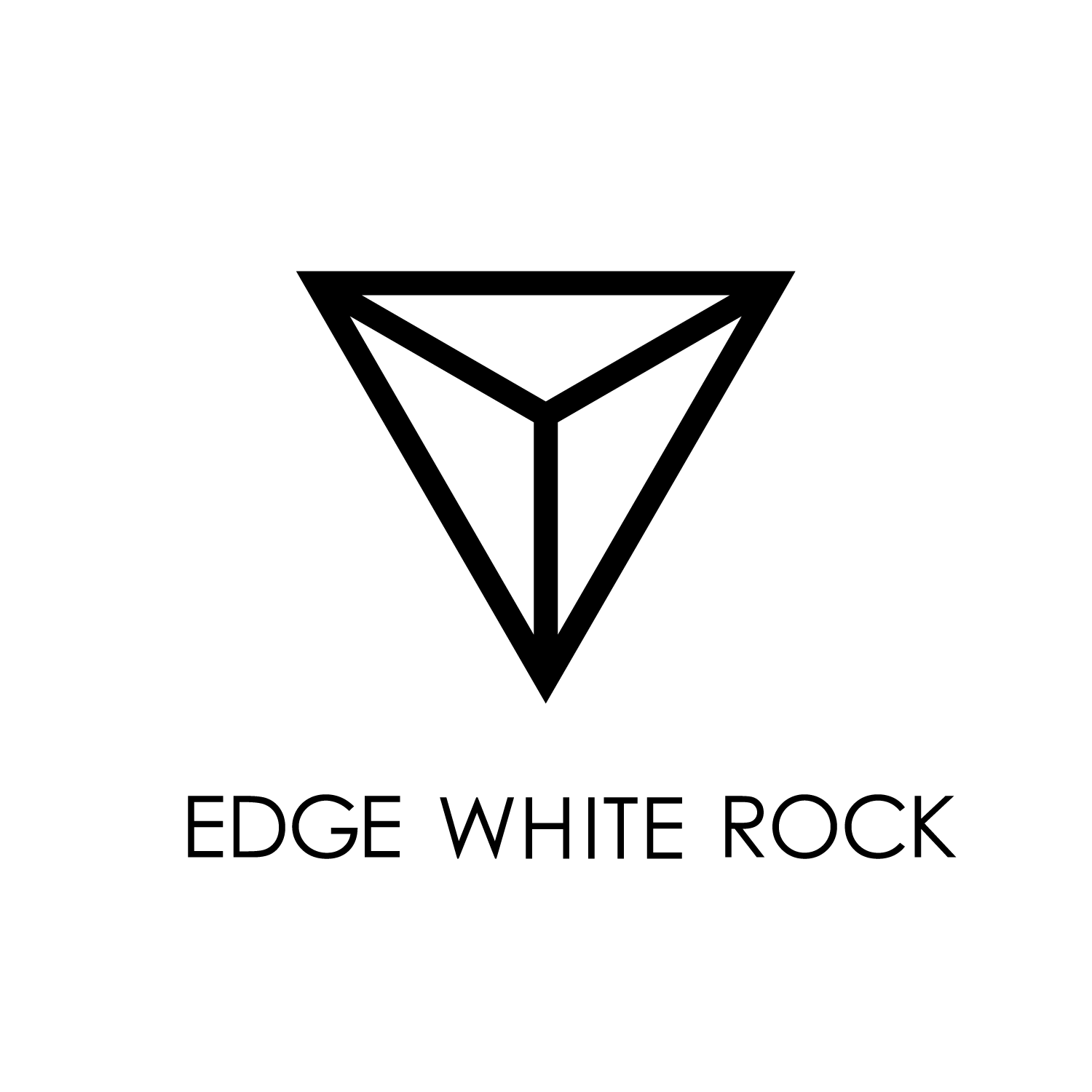 Logo-Design von Monty Zhuang für Dooley Developments USA, LLC | Design #18429822