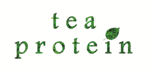 Logo Design by Kara Stewart