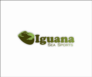 Logo Design by dwarrowdelf51