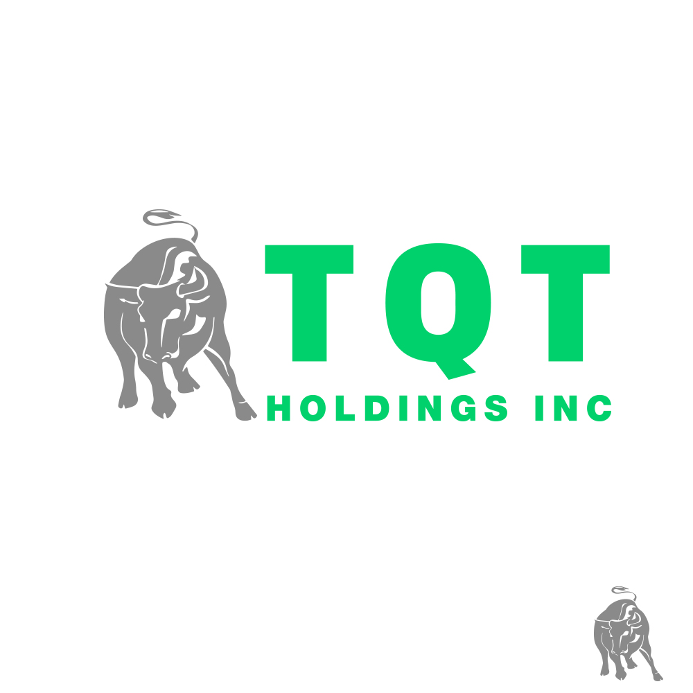 Logo Design by Design Sword for TQT Holdings Inc  | Design #18377311