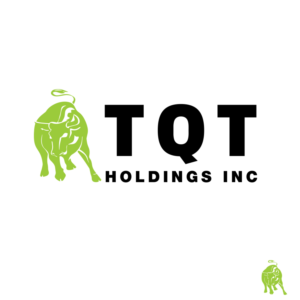 Logo Design by Design Sword for TQT Holdings Inc  | Design: #18377312