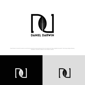 Logo Design by saifysyed Studio