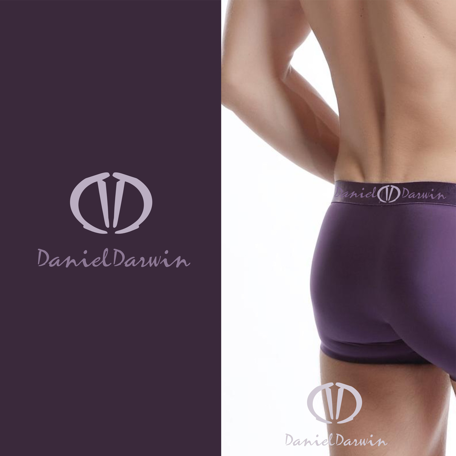 Diseño de Logo por Otradus para Daniel Darwin | Diseño #18733609