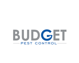 Logo Design by Pv_999 for this project | Design: #19760399
