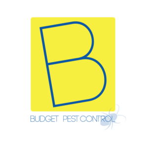 Logo Design by MGC creazioni grafiche for this project | Design #19753567