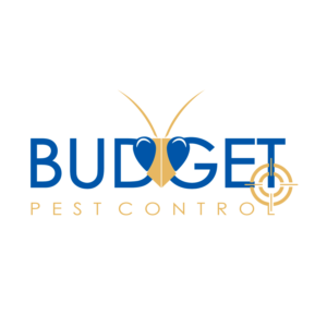 Logo Design by savvyartstudio for this project | Design: #19752746