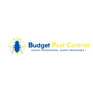 Logo Design by kpgroup