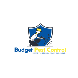 Logo Design by kpgroup for this project | Design: #19751748
