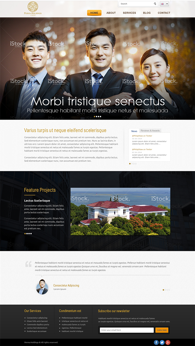 Web Design by Mayank Patel for SR-Design | Design #2830385