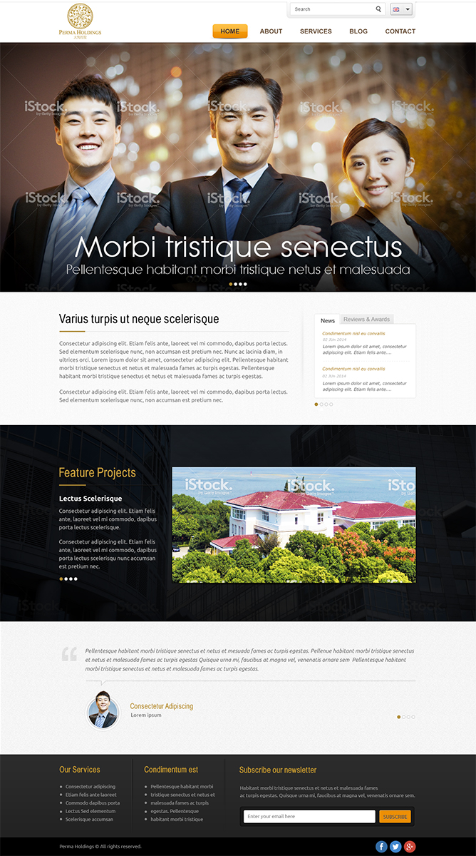 Web Design by Mayank Patel for SR-Design | Design #2847404