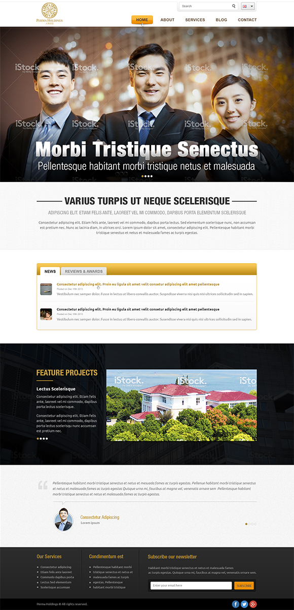 Web Design by Mayank Patel for SR-Design | Design #2851505