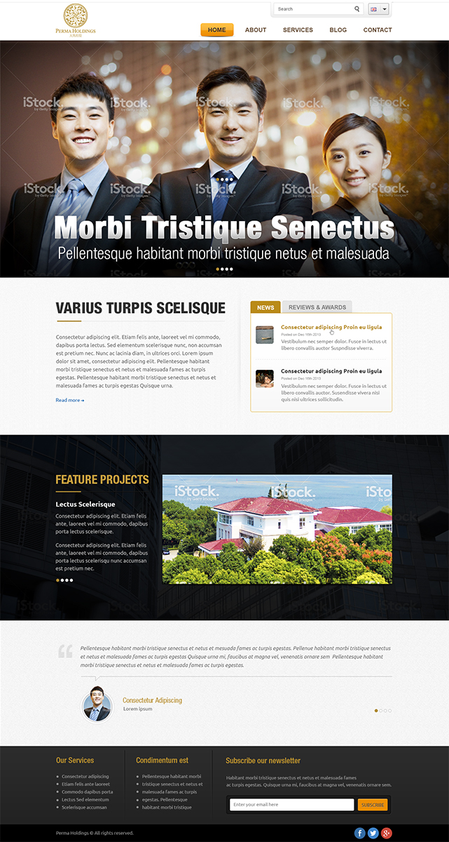 Web Design by Mayank Patel for SR-Design | Design #2851510