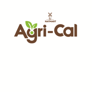 Logo Design by huynhtienvn