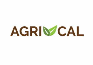 Logo Design by JR Creative