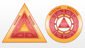 Nursing Concepts Diagram | Design Graphique par Rickyy