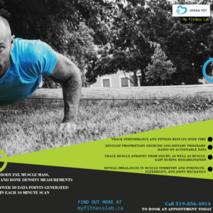 Flyer Design by Yant Media
