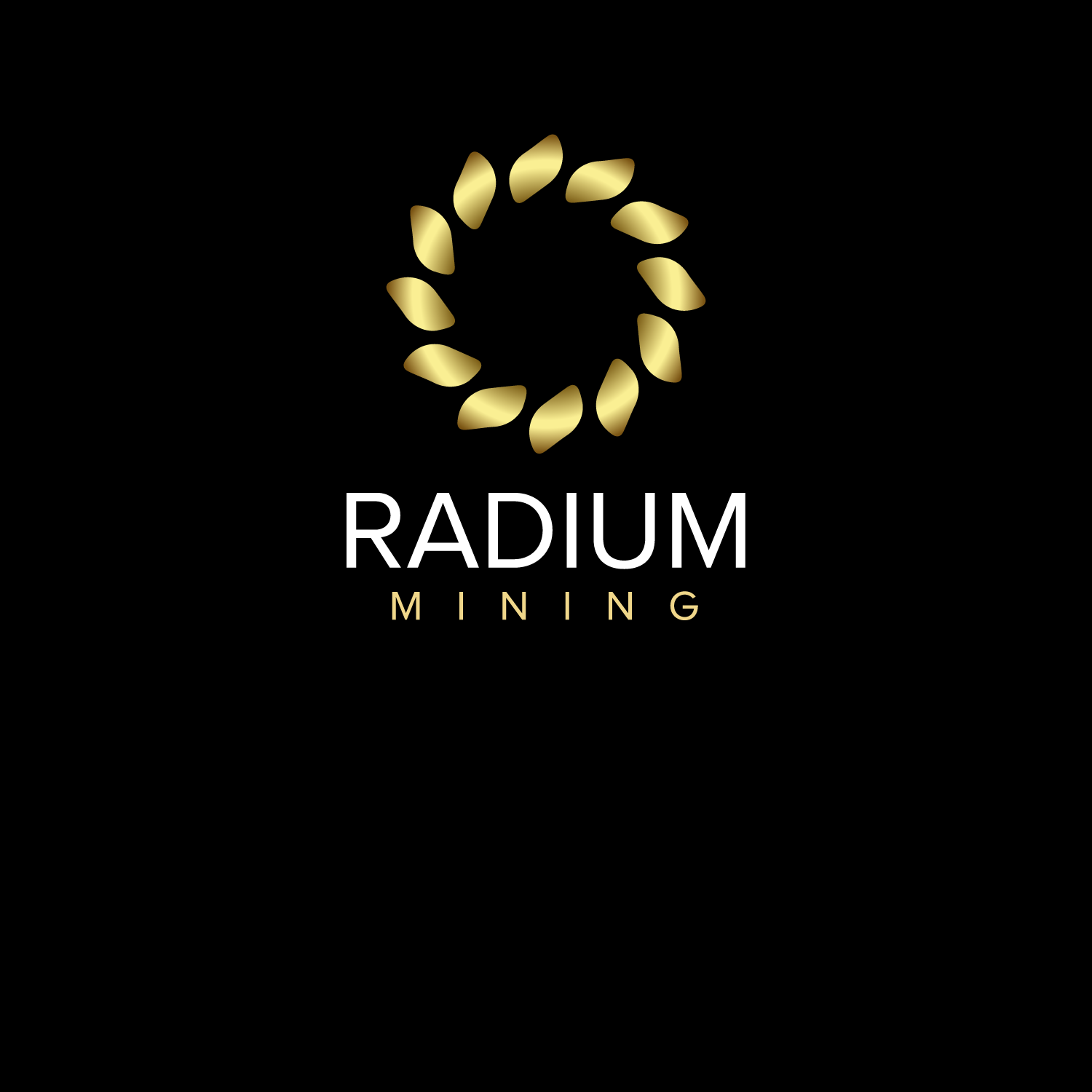 Logo-Design von lightning.1972 für dieses Projekt | Design #18504172