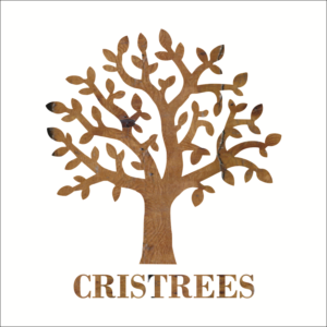 Logo Design by Sudipta 3