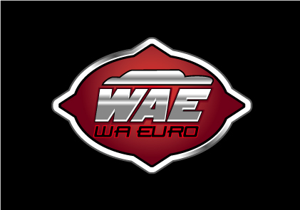 Logo Design by Expert Designer for this project | Design #678801