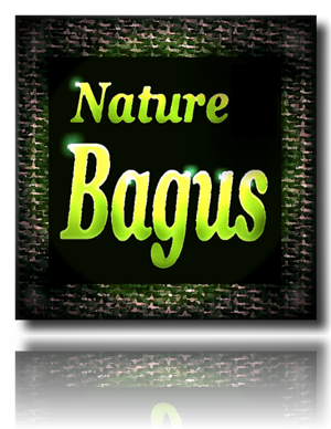 Logo Design by ngrosvenor for this project | Design #2811044