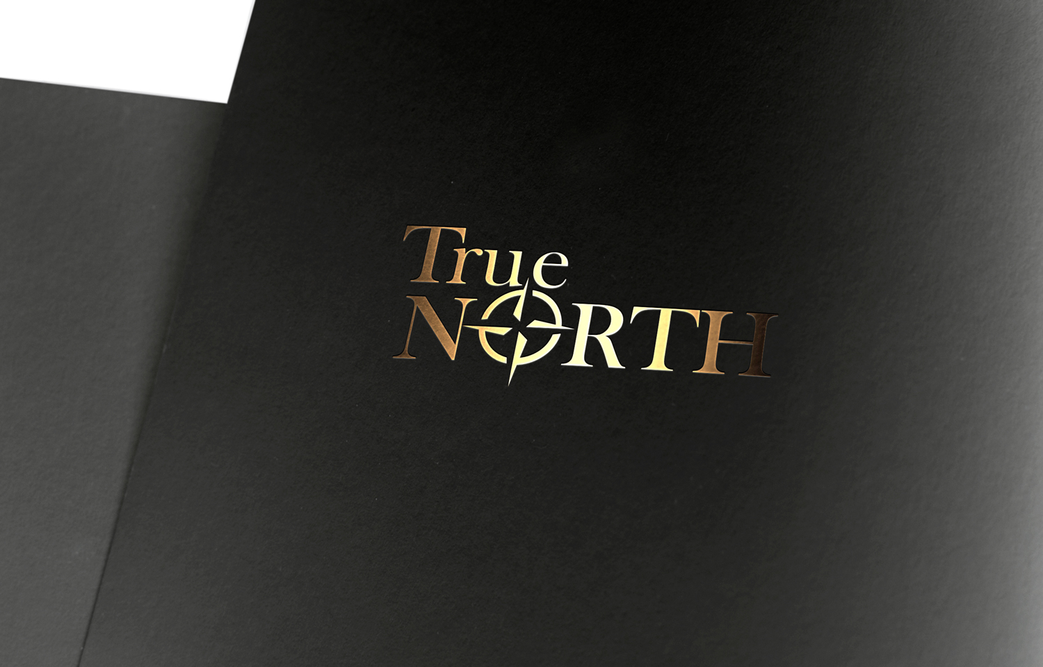 Logo Design by Samuel paul for this project | Design #18585629