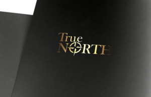 Logo Design by Samuel paul