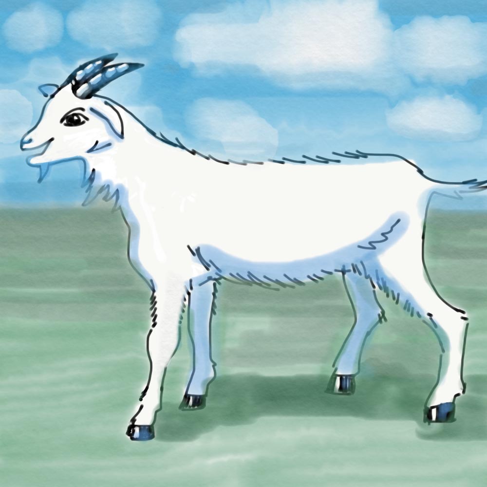 Illustration Design by dawn24 for this project | Design #18453687